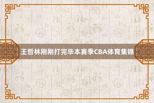 王哲林刚刚打完毕本赛季CBA体育集锦