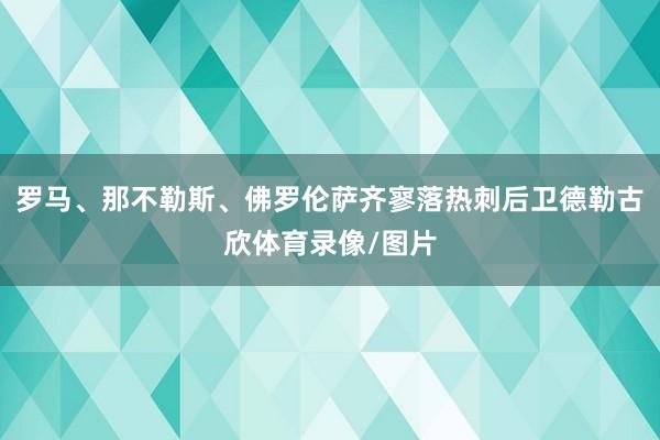 罗马、那不勒斯、佛罗伦萨齐寥落热刺后卫德勒古欣体育录像/图片