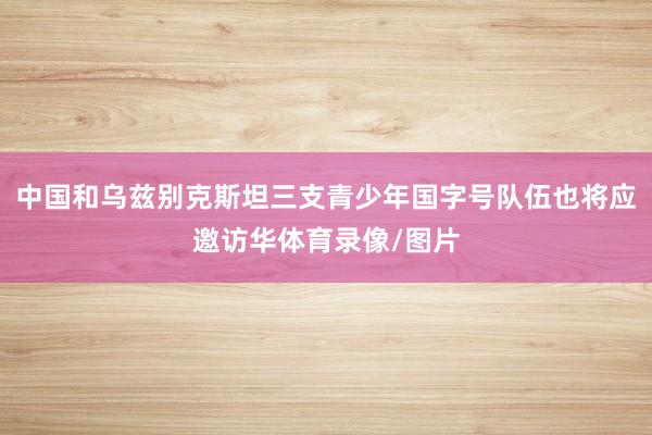 中国和乌兹别克斯坦三支青少年国字号队伍也将应邀访华体育录像/图片