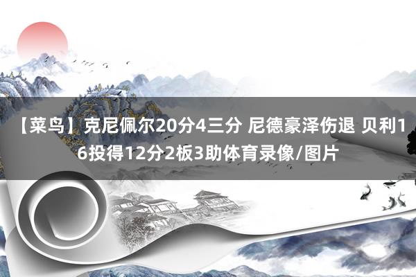 【菜鸟】克尼佩尔20分4三分 尼德豪泽伤退 贝利16投得12分2板3助体育录像/图片